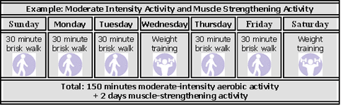 example activity chart