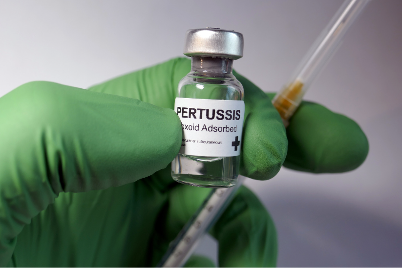 a gloved hand holding a pertussis vaccine bottle and a syringe