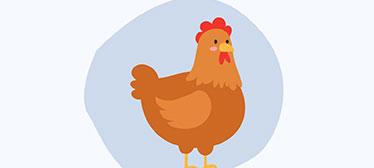 An illustration of a chicken